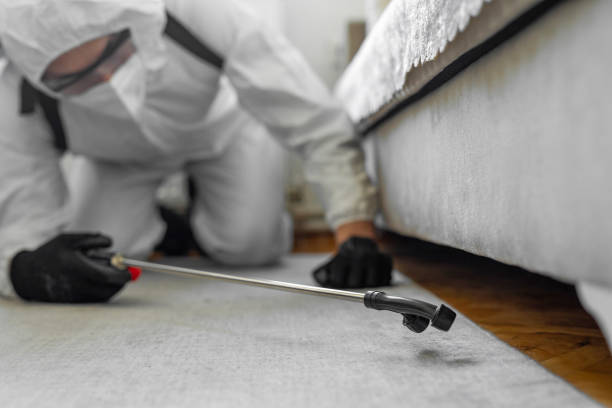 Professional Pest Control technician working in Annetta, TX